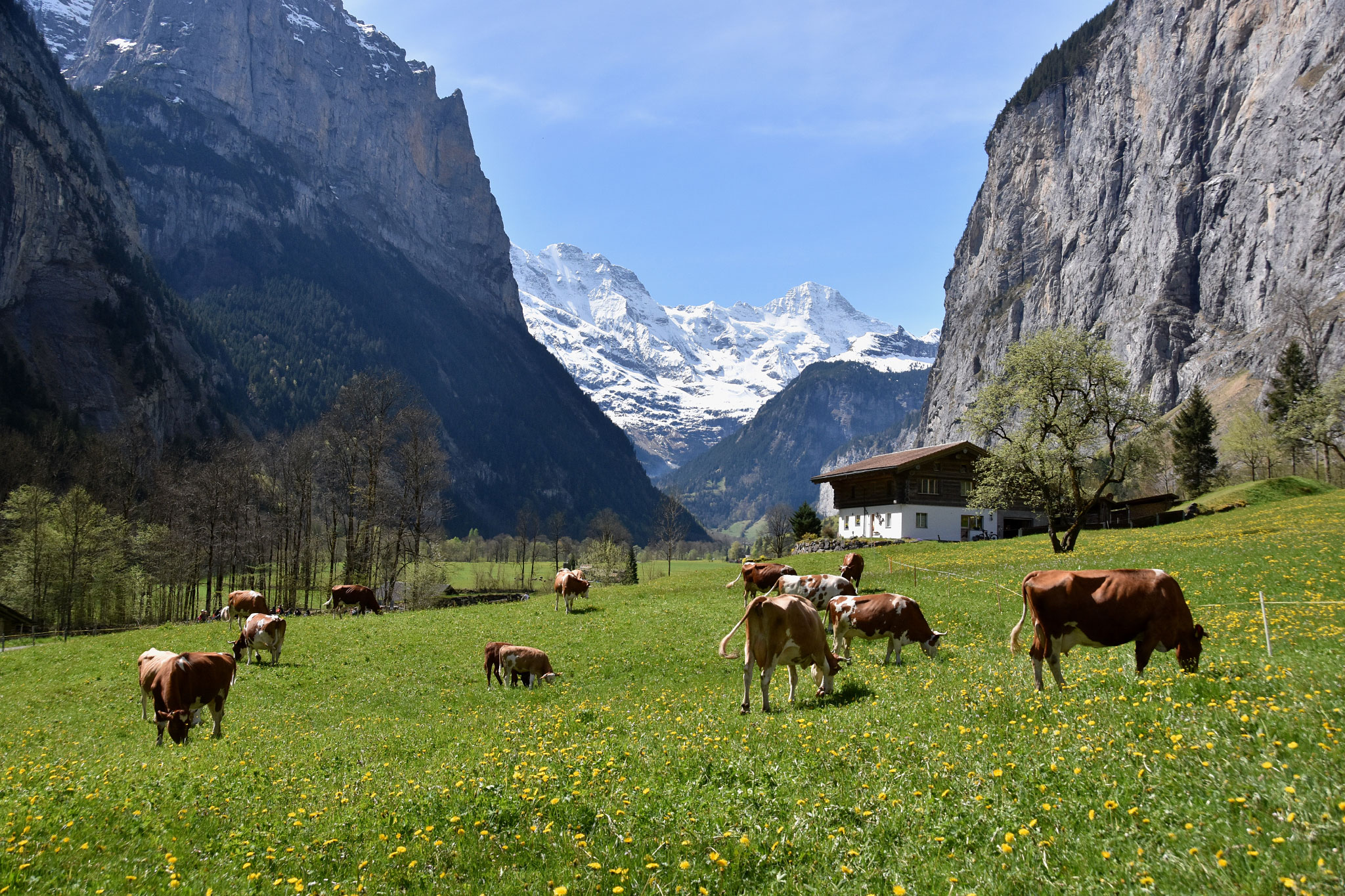 Lauterbrunnen